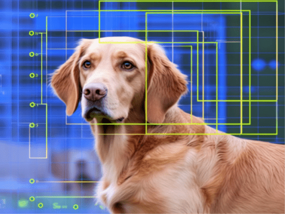Image Processing and Generative Models